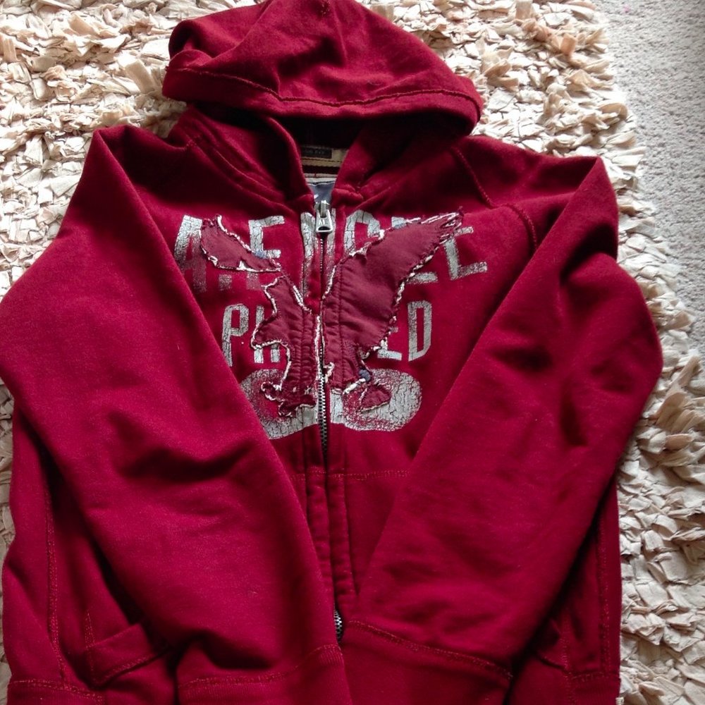 American Eagle Vintage Fit Hooded Sweatshirt - Picture 6 of 9